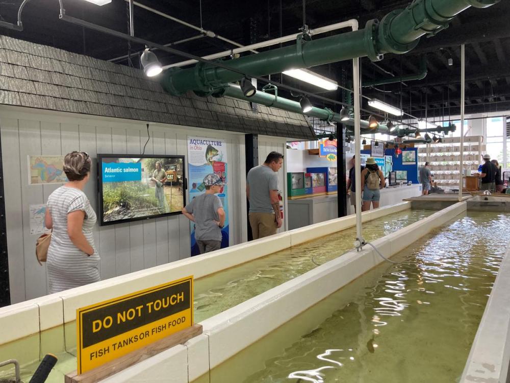 Photograph of the interior of the Aquatic Visitor’s Center at OSU’s Stone Laboratory that includes wall mounted displays and live fish in aquaria and raceways.