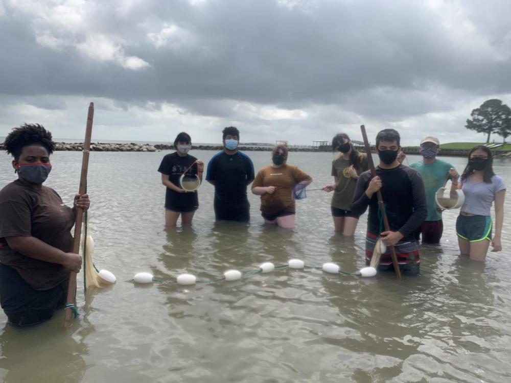 Students use nets to collect and identify Galveston Bay organisms.