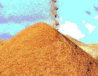 large pile of grain with more being piled on top