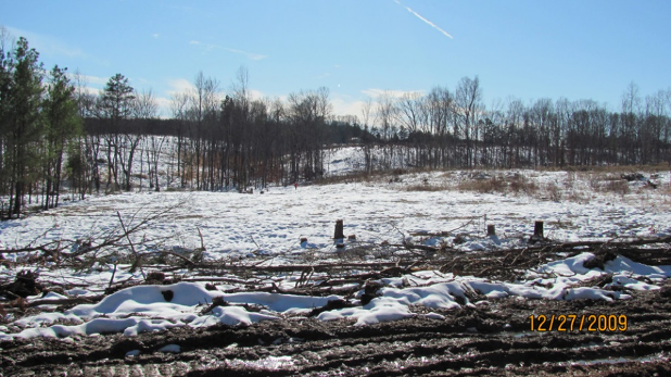 The initial landscape found, snow-covered and deforested. Tall trees in the distance, blue sky.
