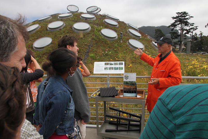 Figure 3. At the California Academy of Sciences in San Francisco, California, U.S., a docent educates visitors about ecosystem services provided by the green roof, including insulation, stormwater control, and fresh air, which help the Academy and surrounding parkland thrive. Credit: Alex Russ.