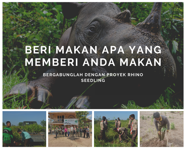 Photo collage poster created by the team to support The International Rhino Foundation's (full photo credit) seedling project. Translation- Feed what feeds you, join the seedling project today.