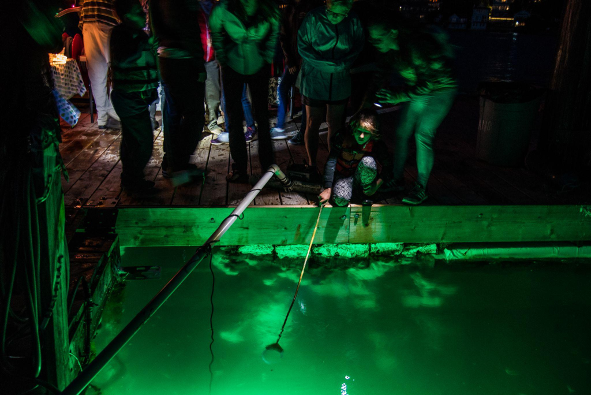Visitors use lights to view night-time intertidal species in Pier Peer program.
