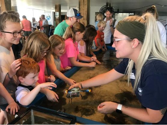 Education intern shows blue crab to kids at Touch Tank Tuesday.