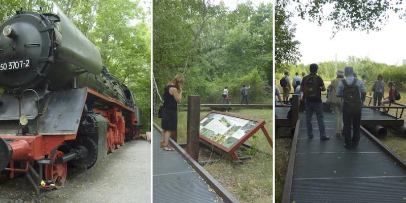 Figure 4. Natur-Park Südgelände in Berlin resulted from the efforts of civically engaged residents. Credit: Cecilia Herzog.