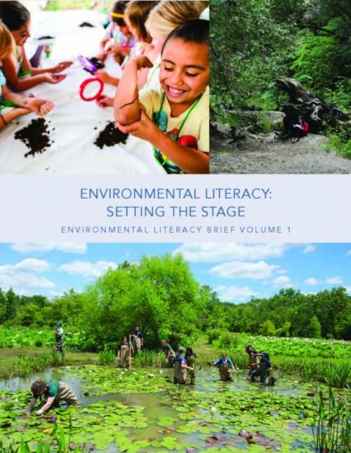 Environmental Literacy: Setting the State (Brief 1)