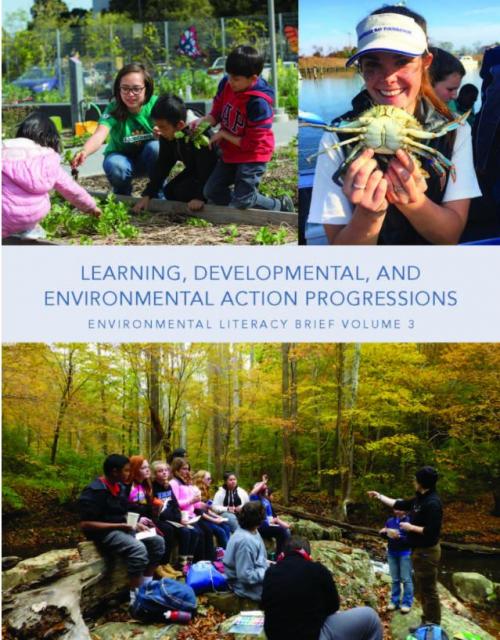 Learning, Developmental and Environmental Action Progressions (Brief 3)