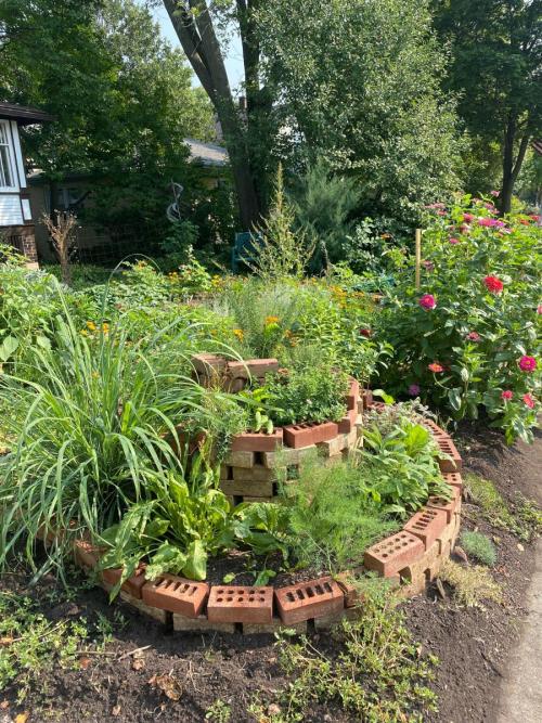 In a suburban front yard garden, there are trees and colorful flowers in the background. At the front is a brick herb spiral with herb plants including sage, lemongrass, thyme, rosemary, and sorrel.