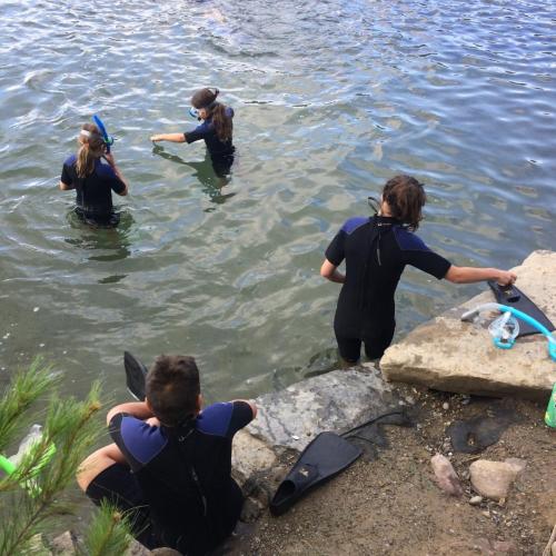 4 students enter the green water of the lake from the rocky shore wearing black and blue wet suits and wearing snorkels, masks, and fins