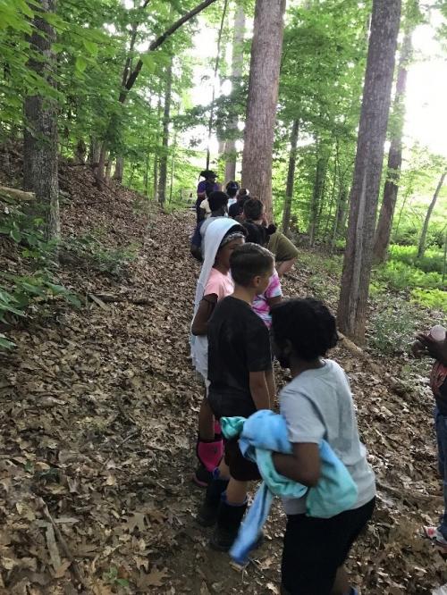 Students hiking in single file through a forest