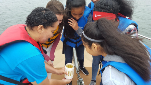 School group observing plankton in South Puget Sound.