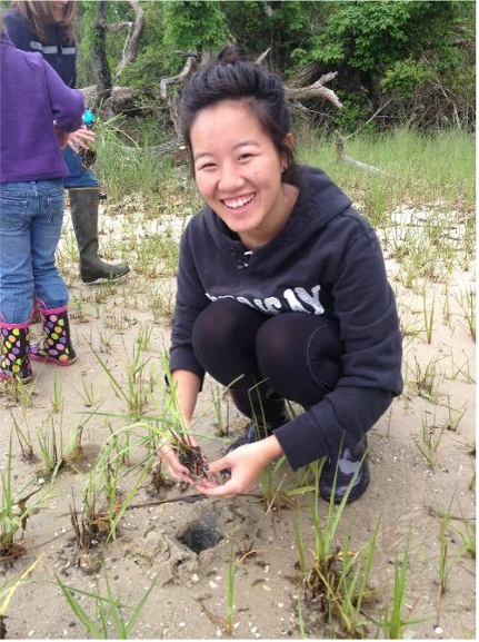 Student plants Spartina grass plug for a living shoreline.