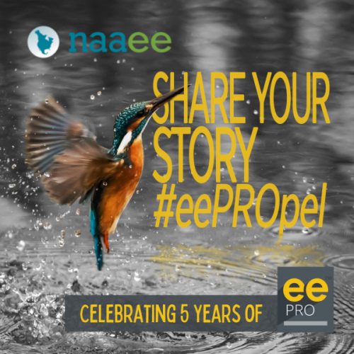kingfisher splashing water with share your story #eePROpel and eepro logo